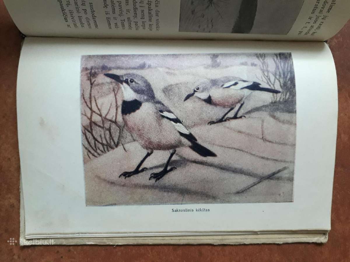 Tadas Ivanauskas "Gamtininko užrašai" 1955 metai - nuotraukos Nr. 16