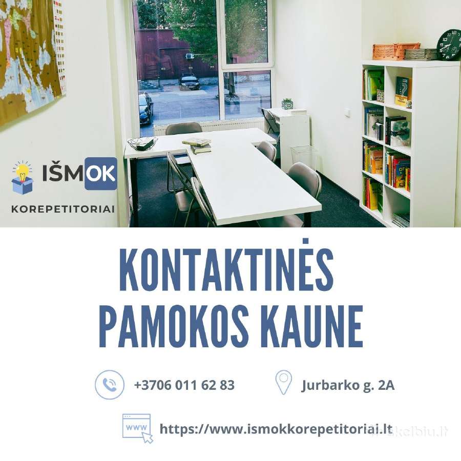 Individualūs korepetitoriai nuotoliu, gyvai Kaune - nuotraukos Nr. 3
