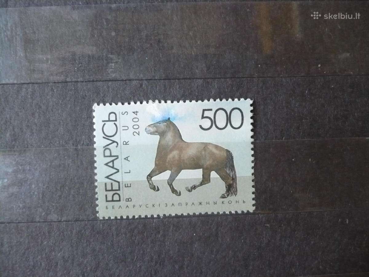 2004 m. arkliai