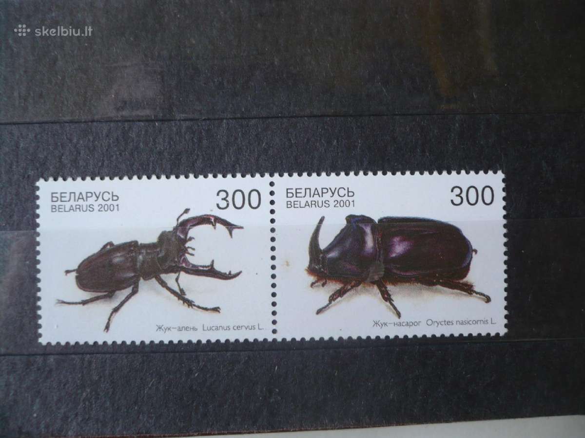 2001 Vabalai pora Mhn
