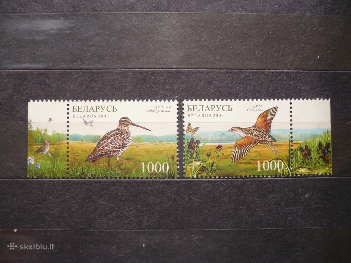 2007čepkelių ir Kotros draustinių gamta– paukščiai