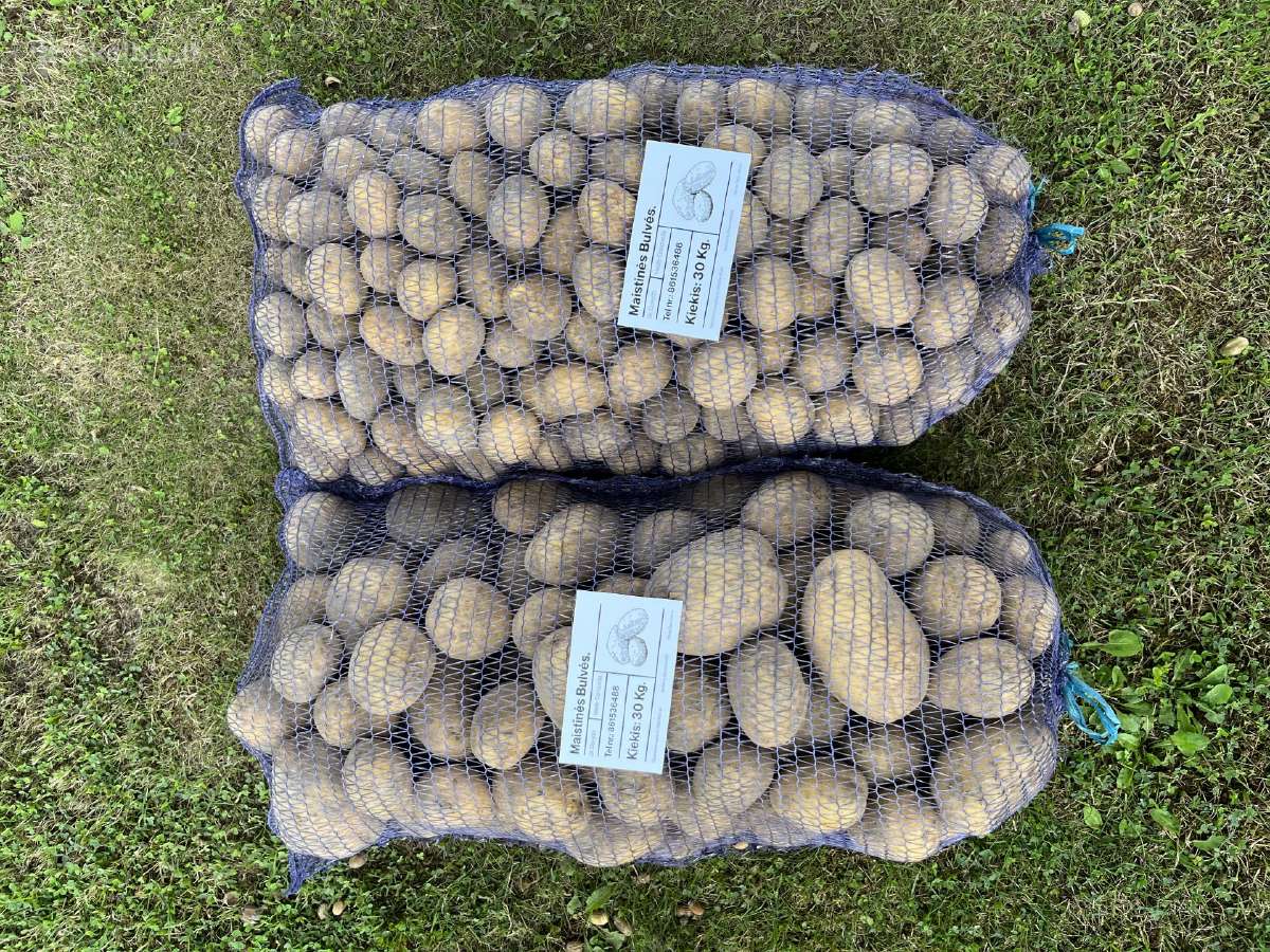 Maistinės bulvės 0,50ct - nuotraukos Nr. 9