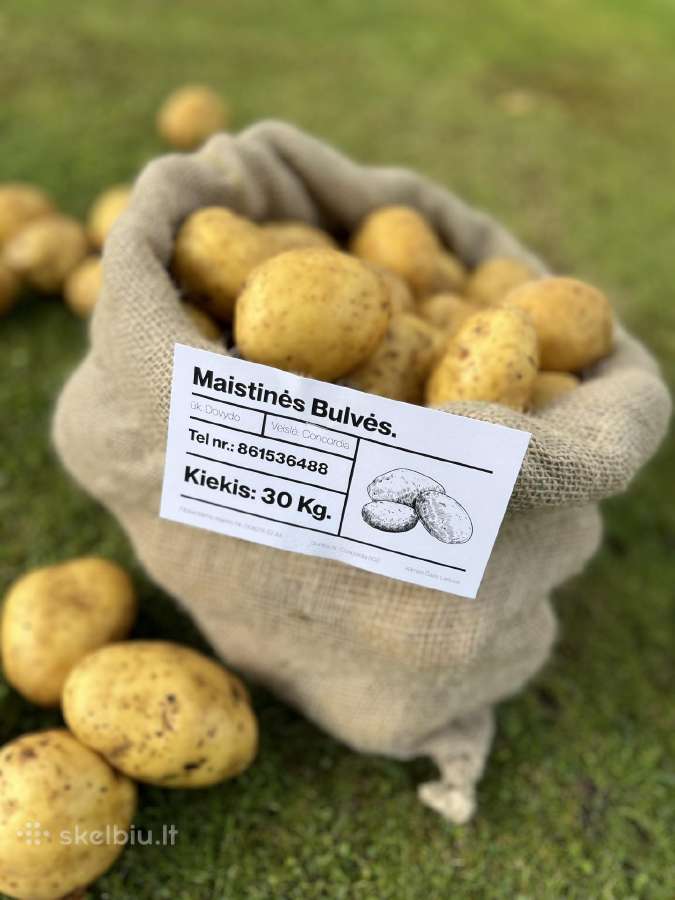 Maistinės bulvės 0,50ct - nuotraukos Nr. 2
