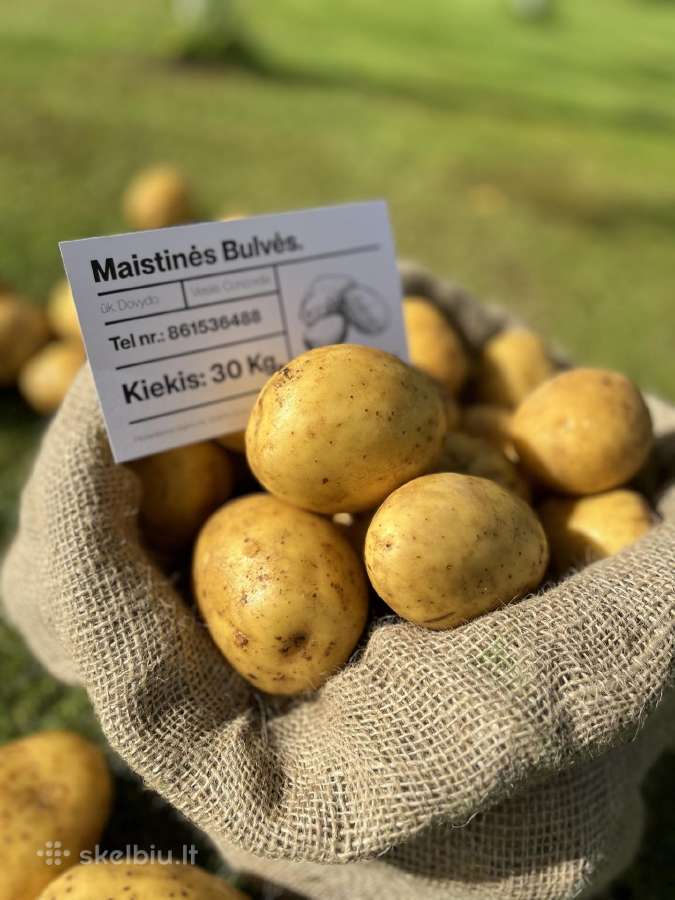 Maistinės bulvės 0,50ct - nuotraukos Nr. 8