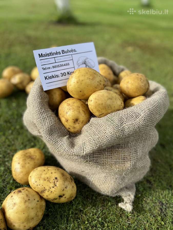 Maistinės bulvės 0,50ct - nuotraukos Nr. 6