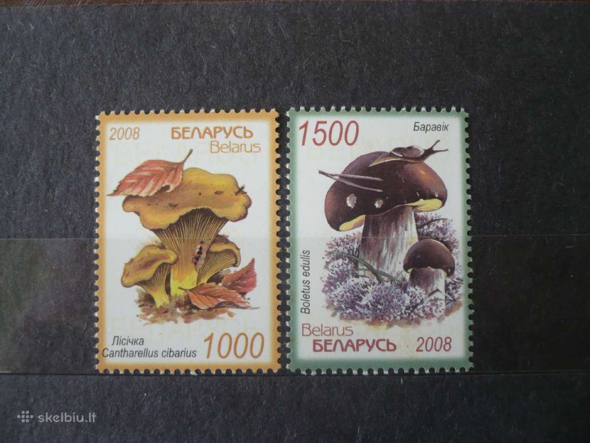 2008 Grybai Mhn
