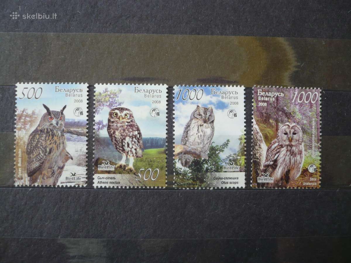 2008 Baltarusijos pelėdos Mhn