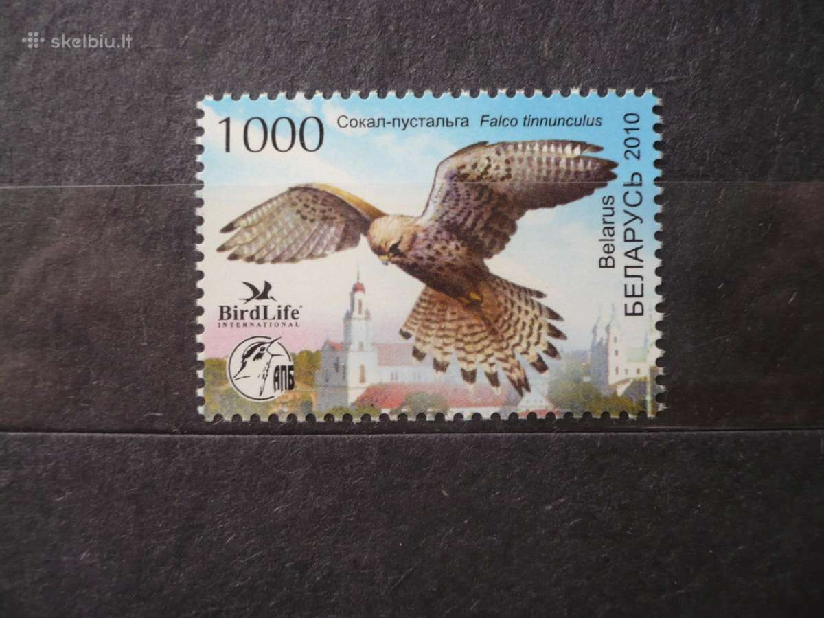 2010 metų paukštis – paprastasis sterkas Mhn