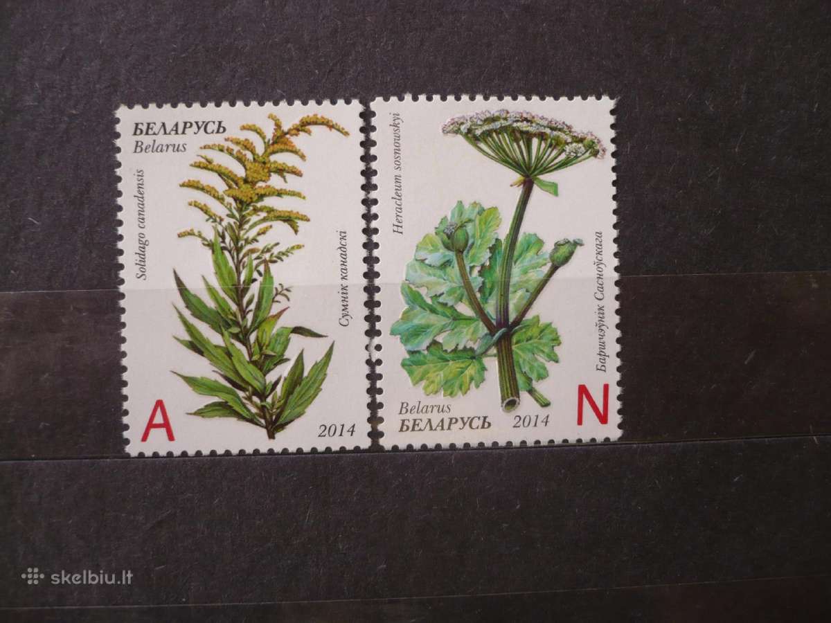 2014 Flora – invaziniai Baltarusijos augalai Mhn