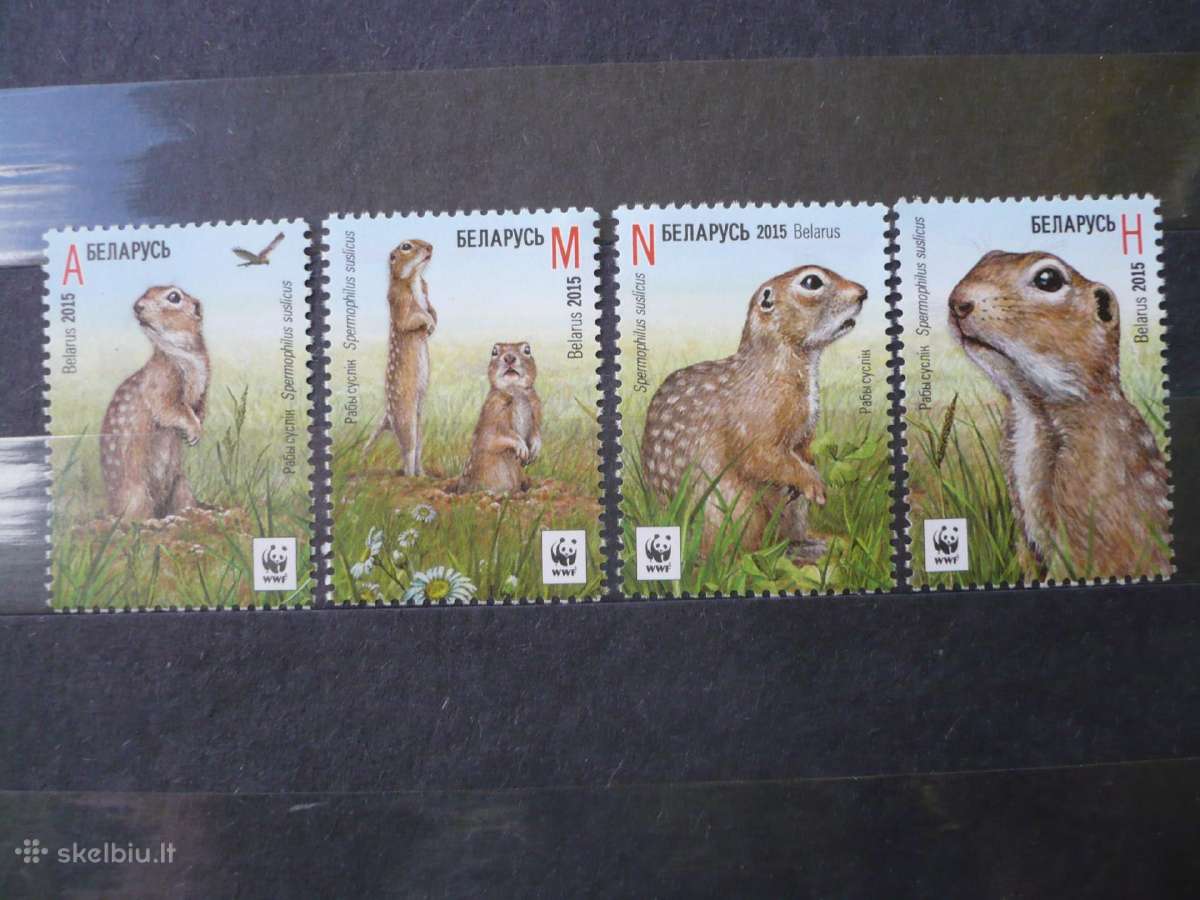 2015 m. Wwf – raiboji žemės voverė Mhn