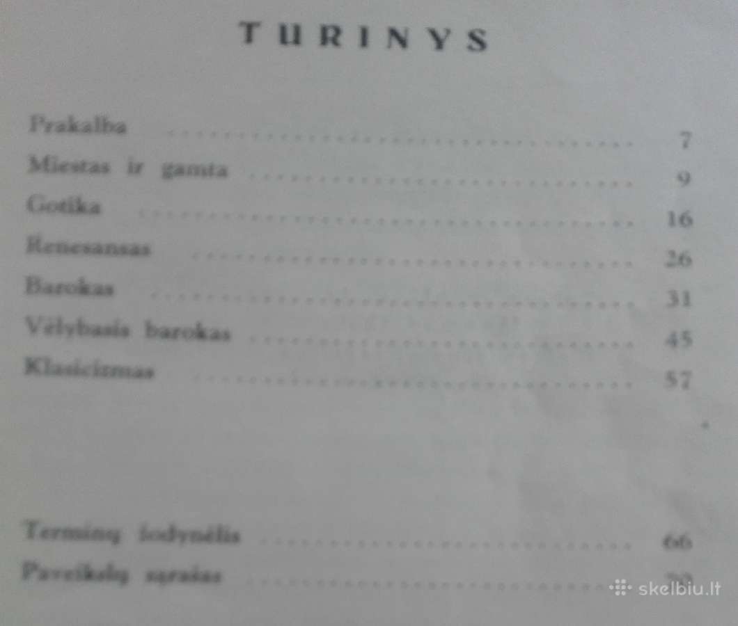 Vilniaus Menas - nuotraukos Nr. 6