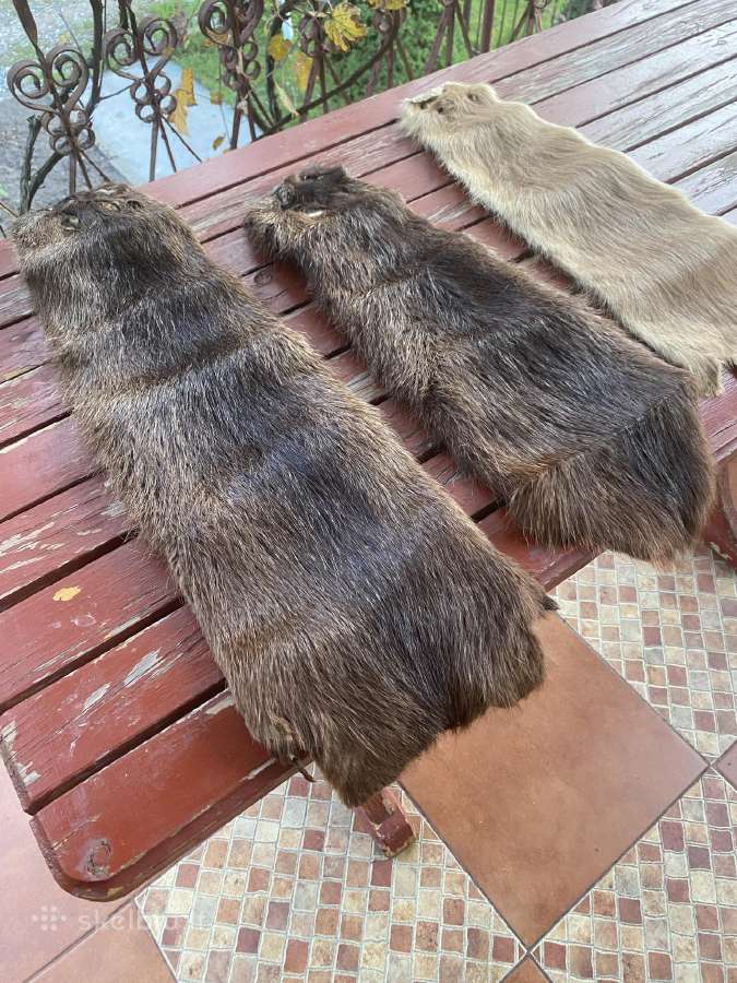 Parduodami nutrijos kailiai - nuotraukos Nr. 2