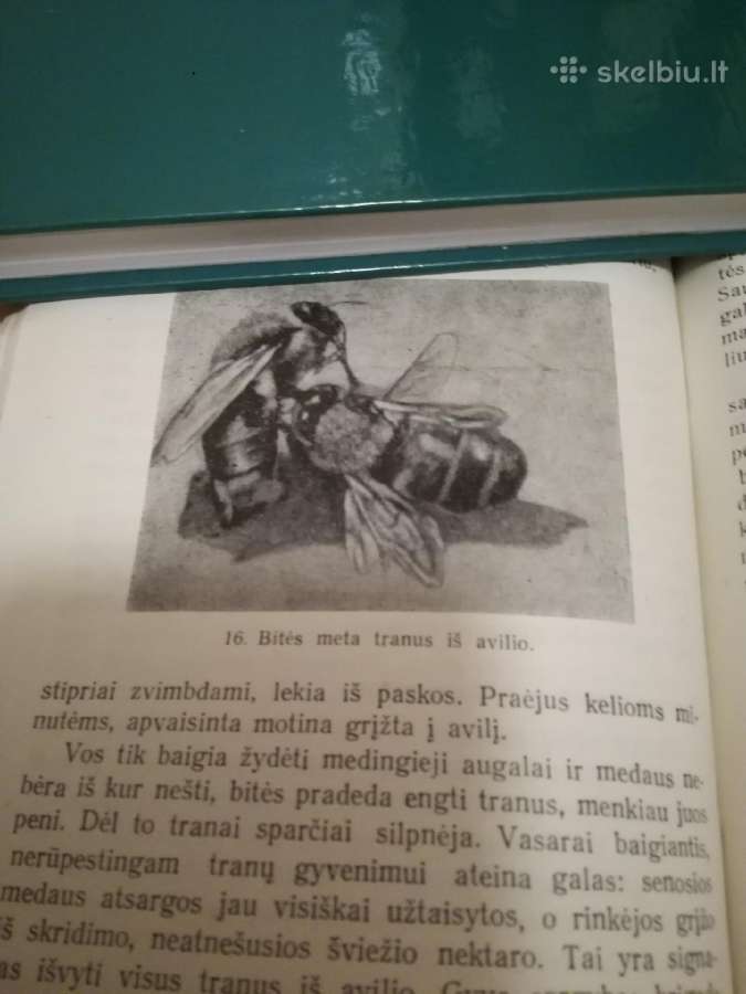 Pradedantiems bitininkauti 1958 m. P. Rimkus - nuotraukos Nr. 3
