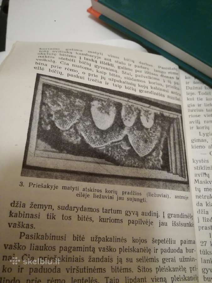 Pradedantiems bitininkauti 1958 m. P. Rimkus - nuotraukos Nr. 6