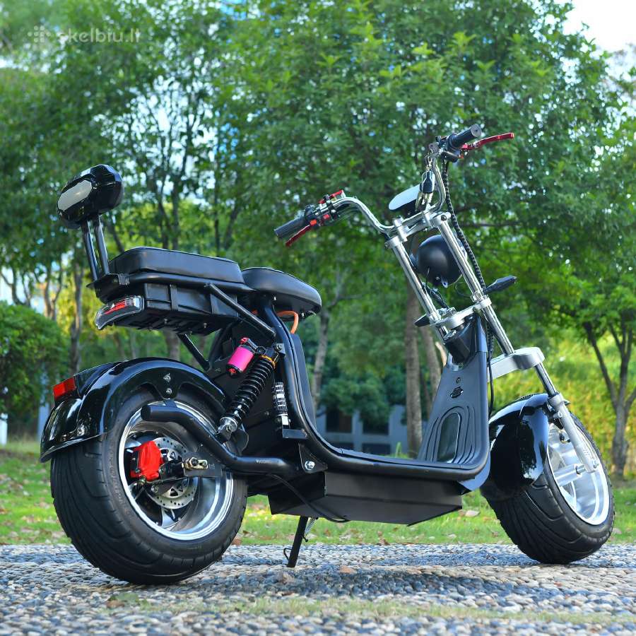 Citycoco / motoroleris / cioperis 3000w Q10 70km/h - nuotraukos Nr. 3