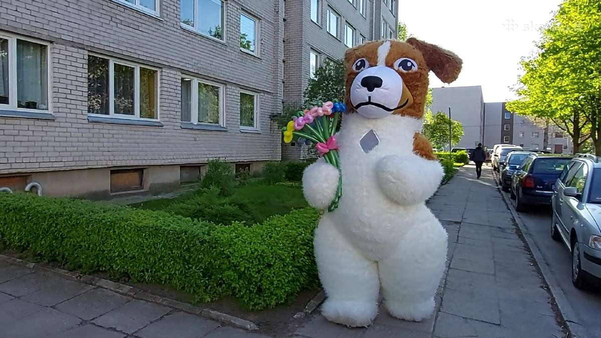 Baltos meškos sveikinimas jūsų šventėms - nuotraukos Nr. 7
