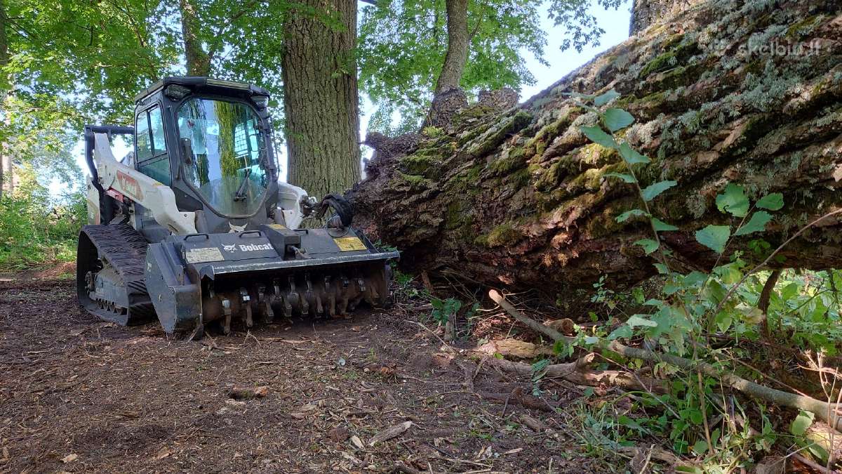 Vikšrinių Minikrautuvų, ekskavatoių Bobcat nuoma - nuotraukos Nr. 25