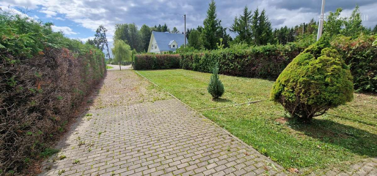 Žolės pjovimas/kelmu nufrezavimas ir kiti darbai - nuotraukos Nr. 26