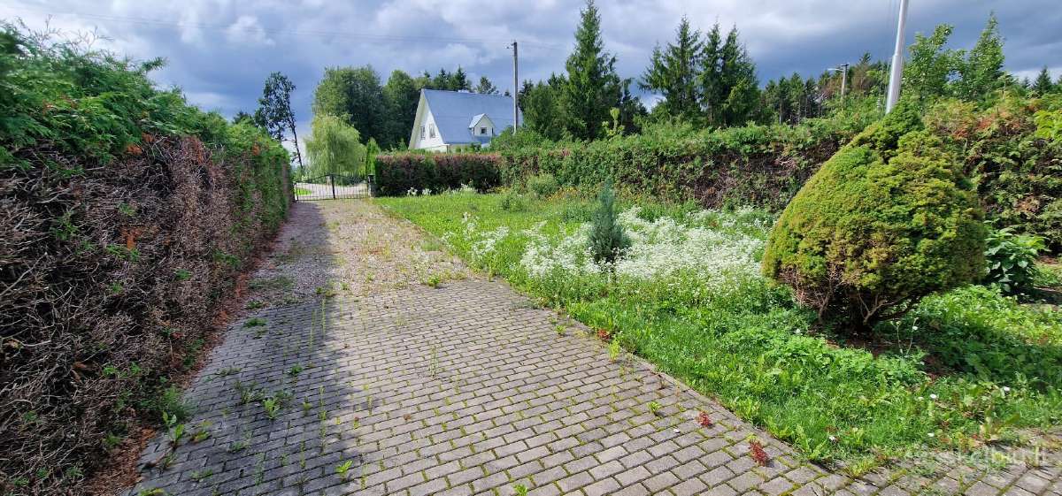 Žolės pjovimas/kelmu nufrezavimas ir kiti darbai - nuotraukos Nr. 27