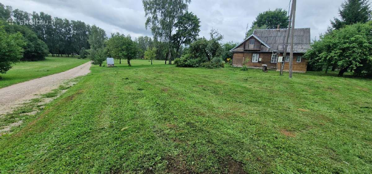 Žolės pjovimas/kelmu nufrezavimas ir kiti darbai - nuotraukos Nr. 28