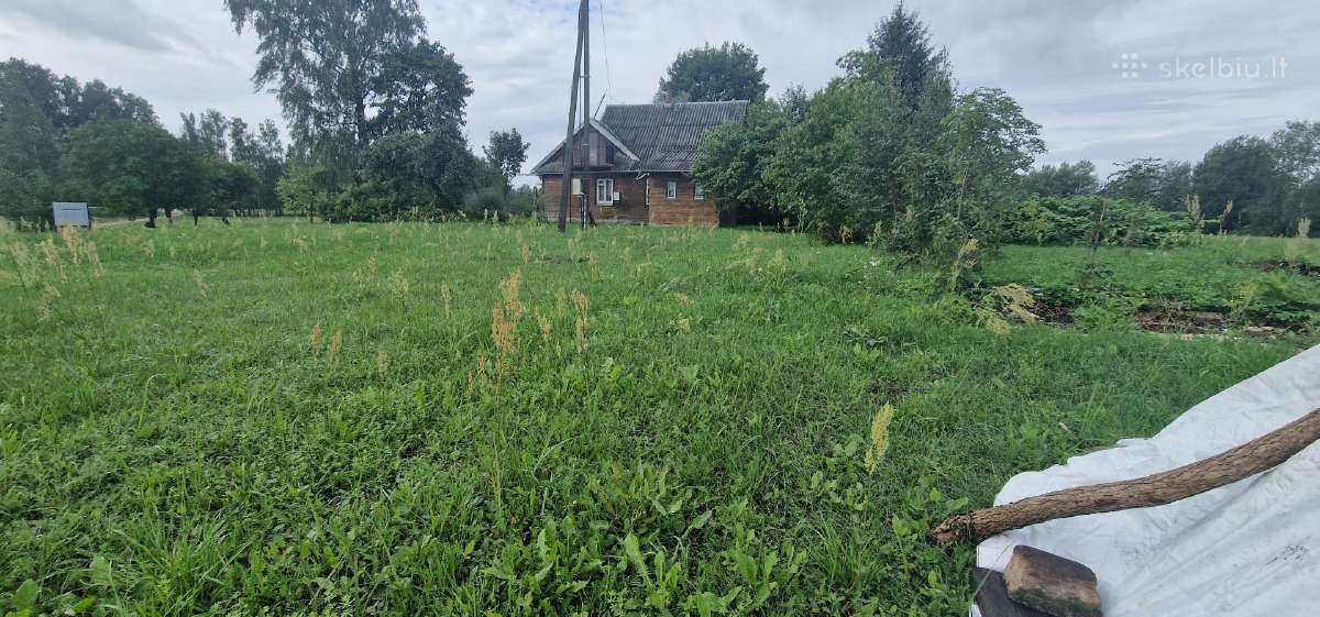 Žolės pjovimas/kelmu nufrezavimas ir kiti darbai - nuotraukos Nr. 29