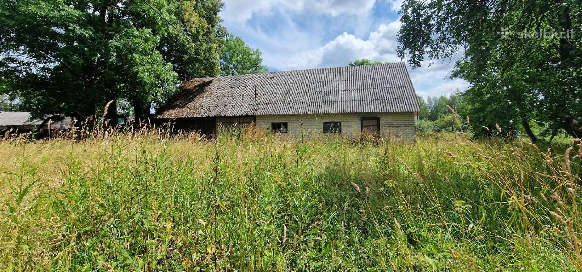 Žolės pjovimas/kelmu nufrezavimas ir kiti darbai - nuotraukos Nr. 35