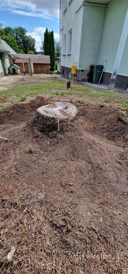 Žolės pjovimas/kelmu nufrezavimas ir kiti darbai - nuotraukos Nr. 37