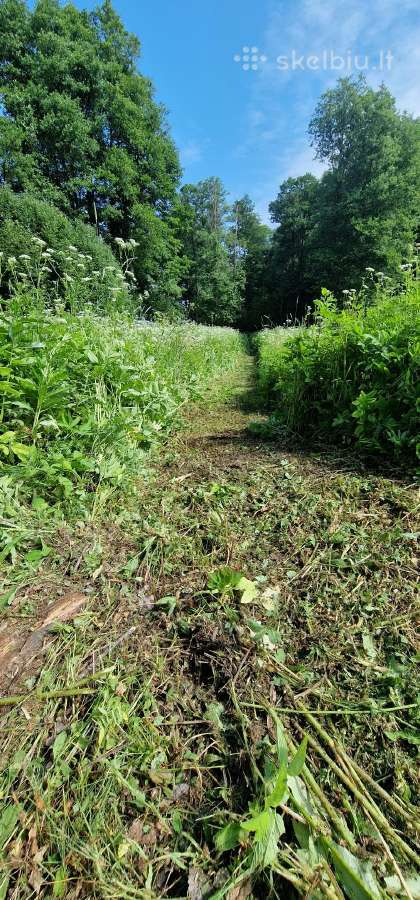 Žolės pjovimas/kelmu nufrezavimas ir kiti darbai - nuotraukos Nr. 38