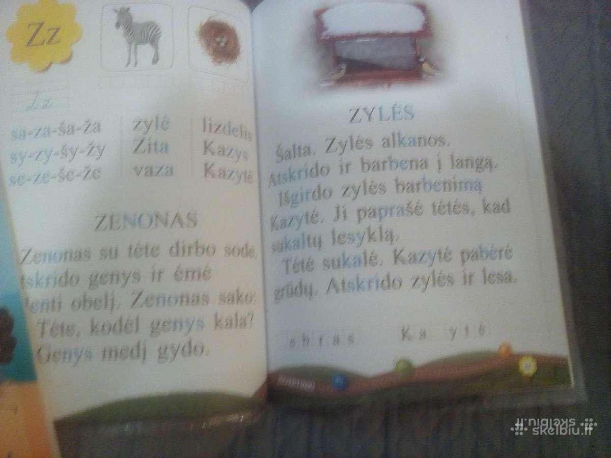 Mažasis elementorius" 6-7 metų vaikams - nuotraukos Nr. 3