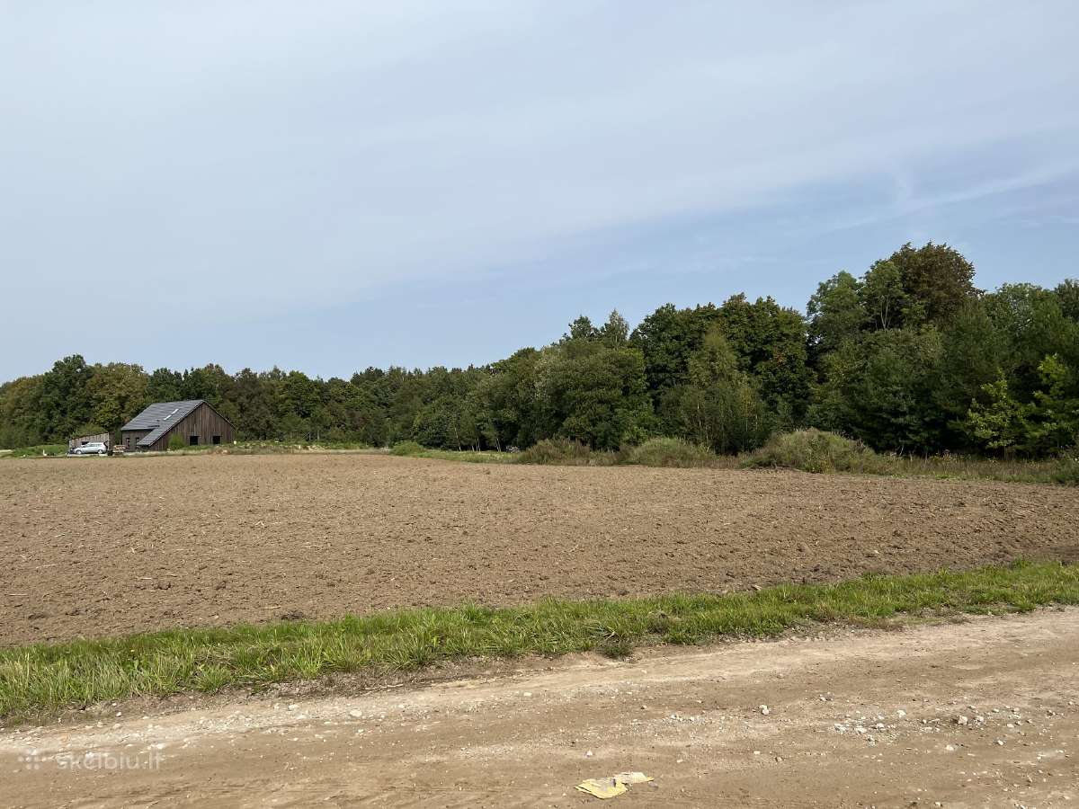Sklypas Radailiuose prie miško ir Eketės upės - nuotraukos Nr. 9