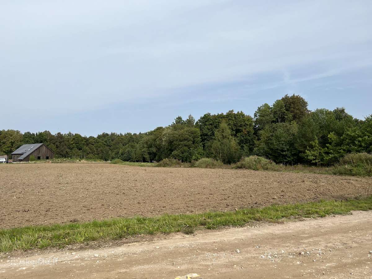 Sklypas Radailiuose prie miško ir Eketės upės - nuotraukos Nr. 10