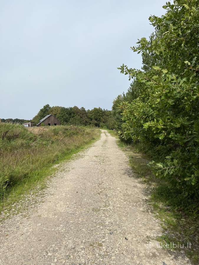 Sklypas Radailiuose prie miško ir Eketės upės - nuotraukos Nr. 8