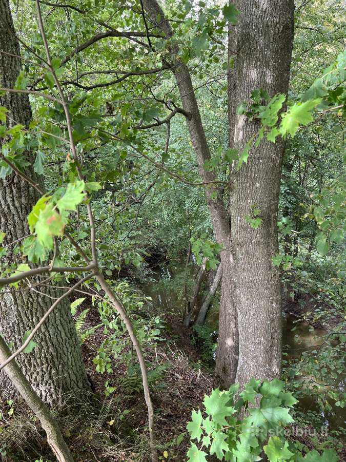 Sklypas Radailiuose prie miško ir Eketės upės - nuotraukos Nr. 3