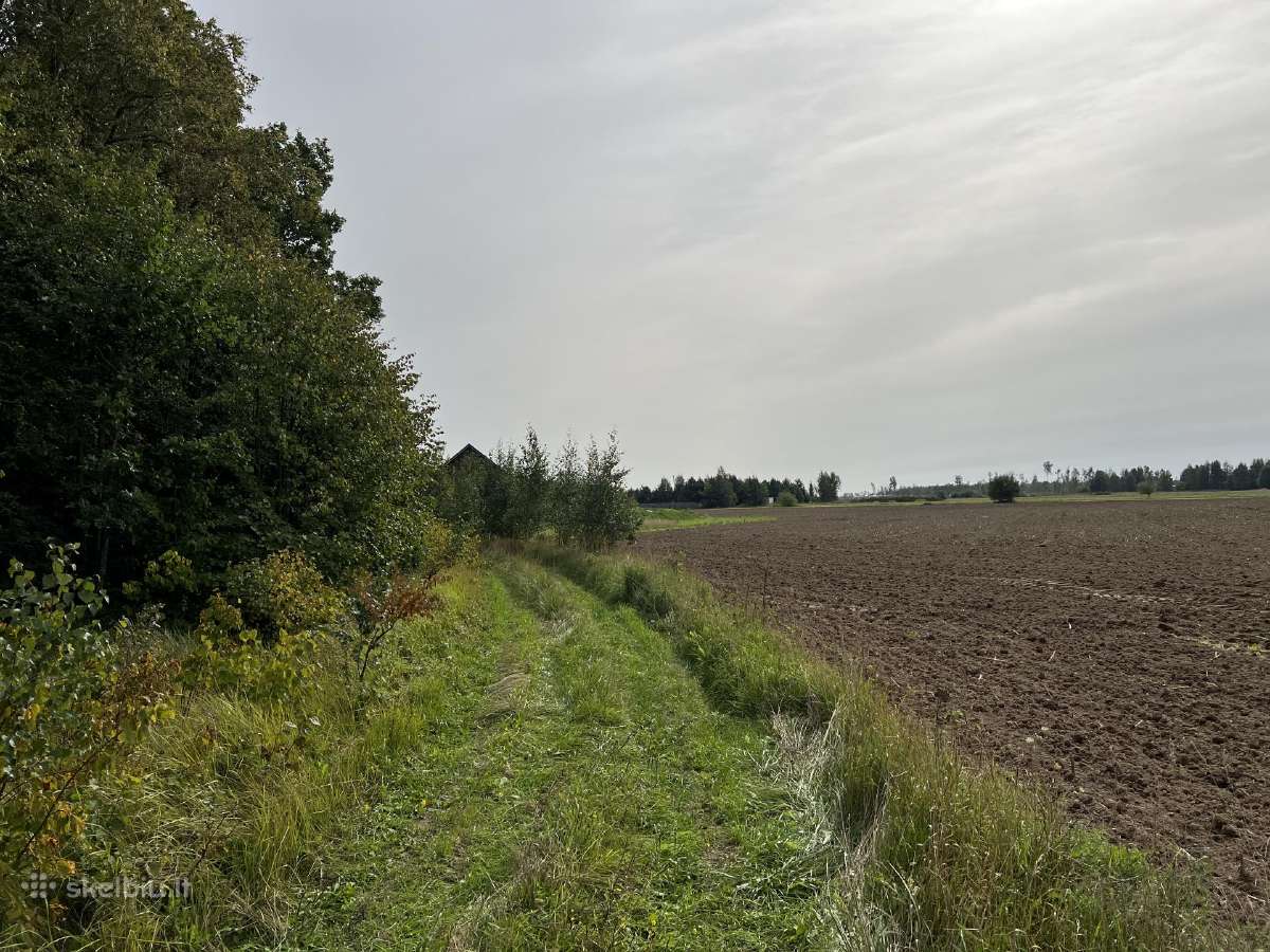 Sklypas Radailiuose prie miško ir Eketės upės - nuotraukos Nr. 4