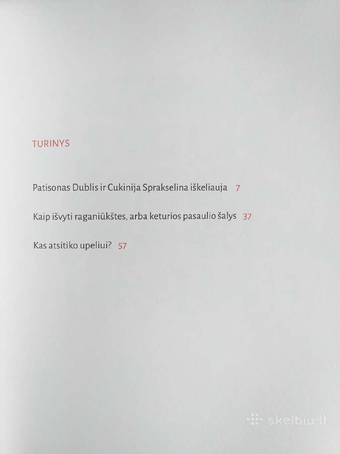 Patisonasdublis ir cukinijasprakselina iškeliauja - nuotraukos Nr. 2