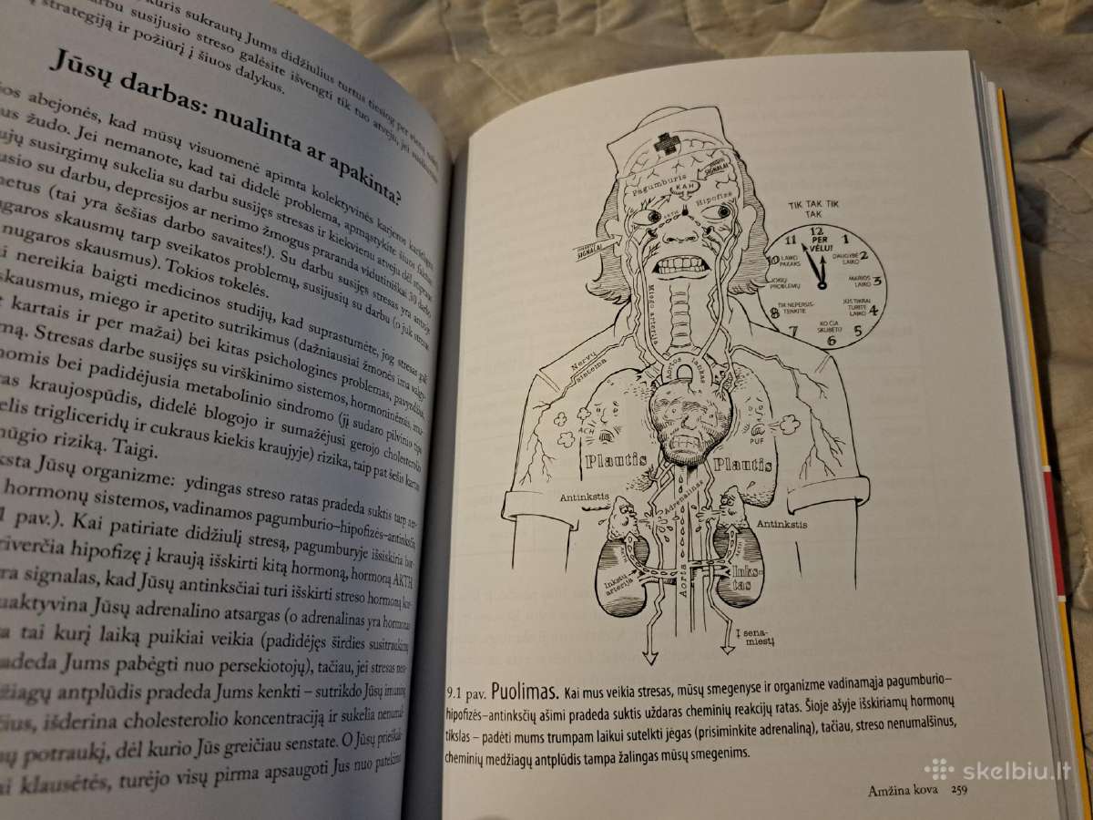 Būkime gražios. Vidinio ir išorinio grožio vadovas - nuotraukos Nr. 9