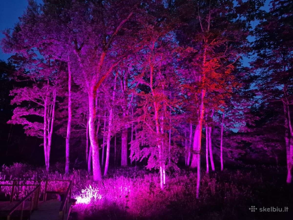 Garso aparaturos ir apsvietimo nuoma, Dj, Vedėjai - nuotraukos Nr. 37