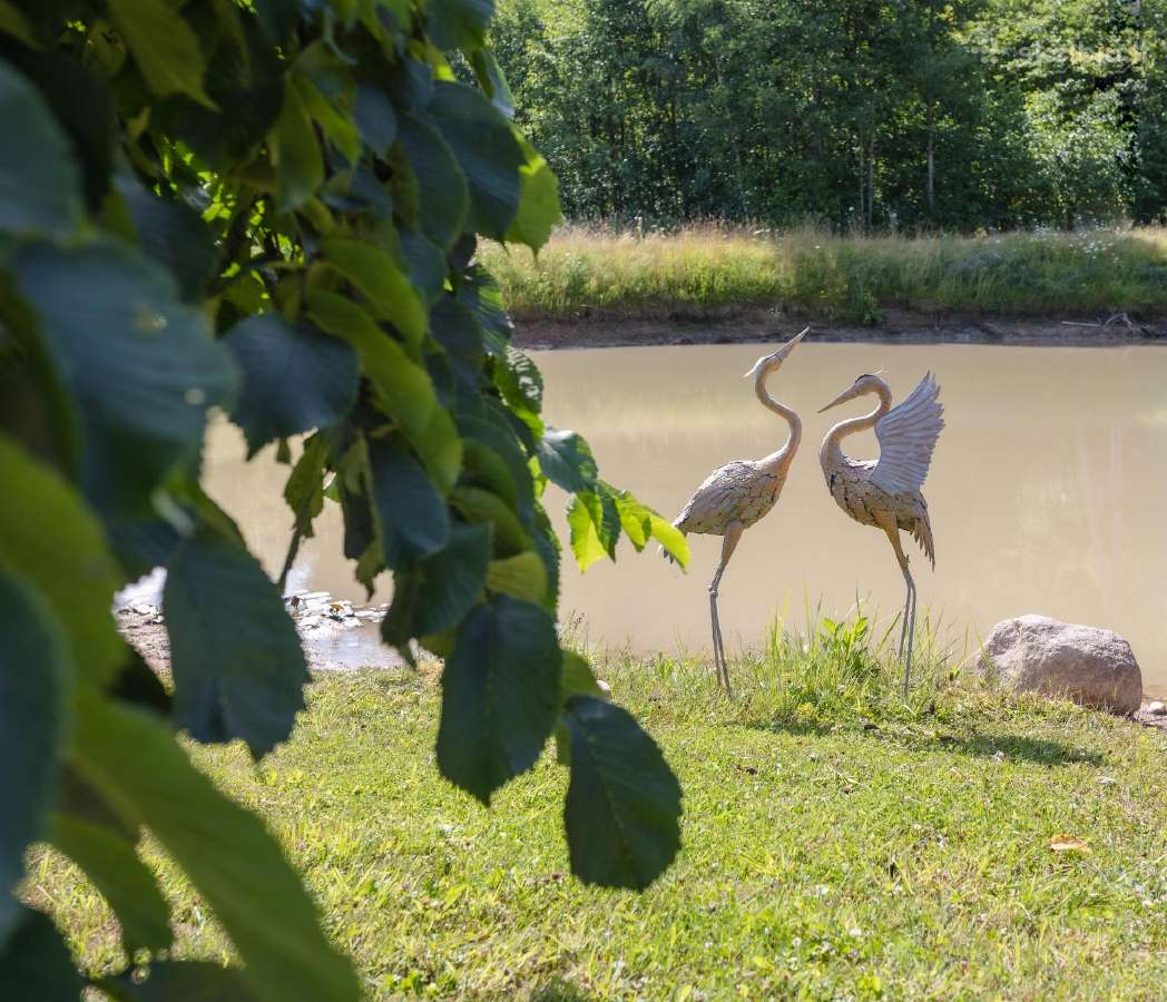 Sodybos nuoma Jūsų šventėms ir poilsiui - nuotraukos Nr. 15