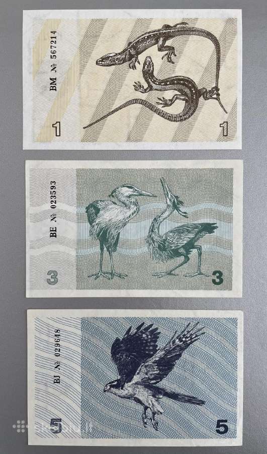 1991 m. talonai be užrašų - nuotraukos Nr. 2