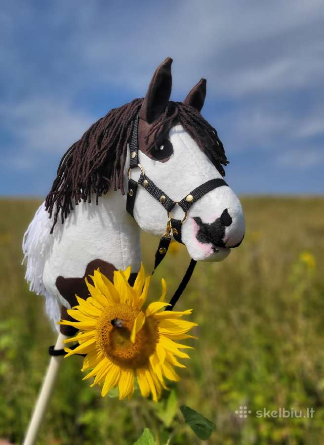 Hobby horse žaisliniai arkliukai - nuotraukos Nr. 4