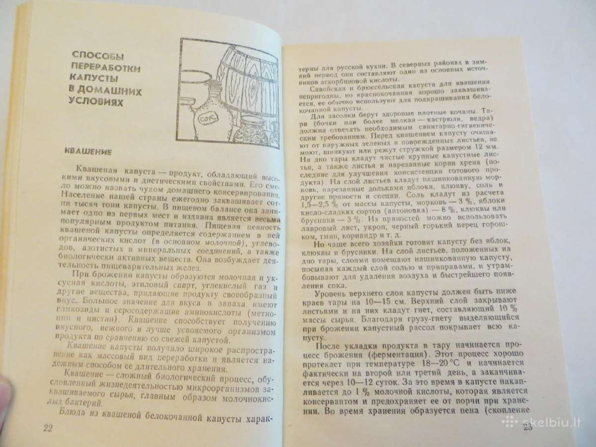 Knyga Kopūstinės daržovės ir patiekalai iš jų 1990 - nuotraukos Nr. 6