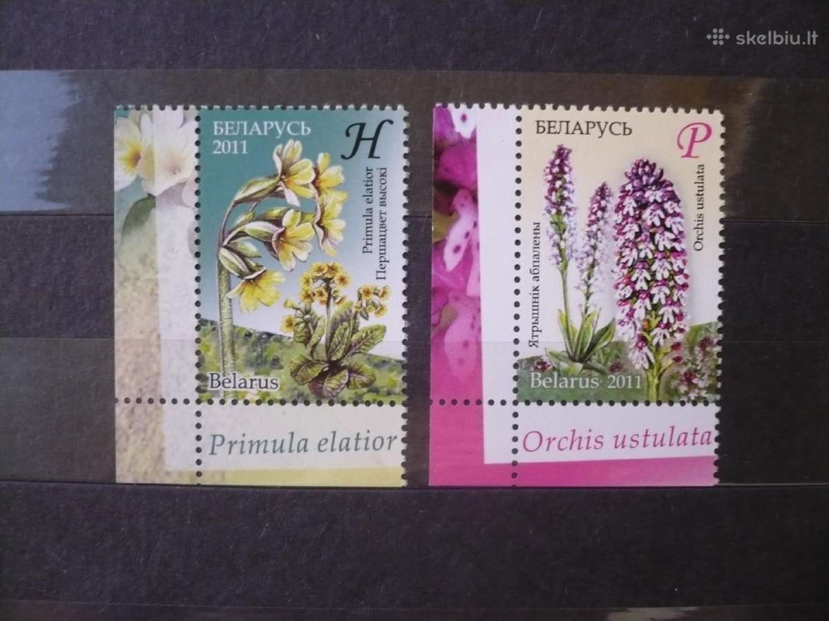 2011m. Gėlės – nykstantys Baltarusijos augalai Mhn