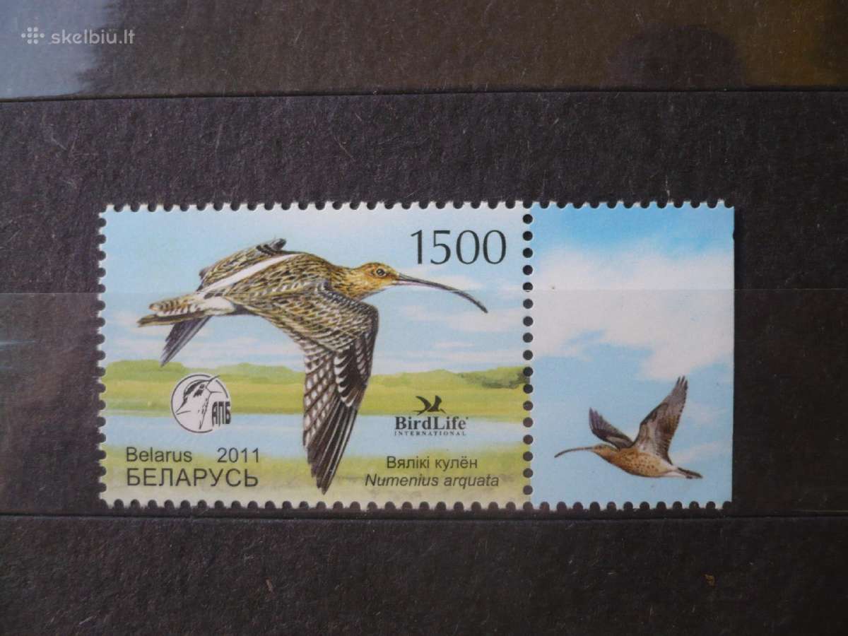 2011 metų paukštis – Eurazijos garbanė Mhn