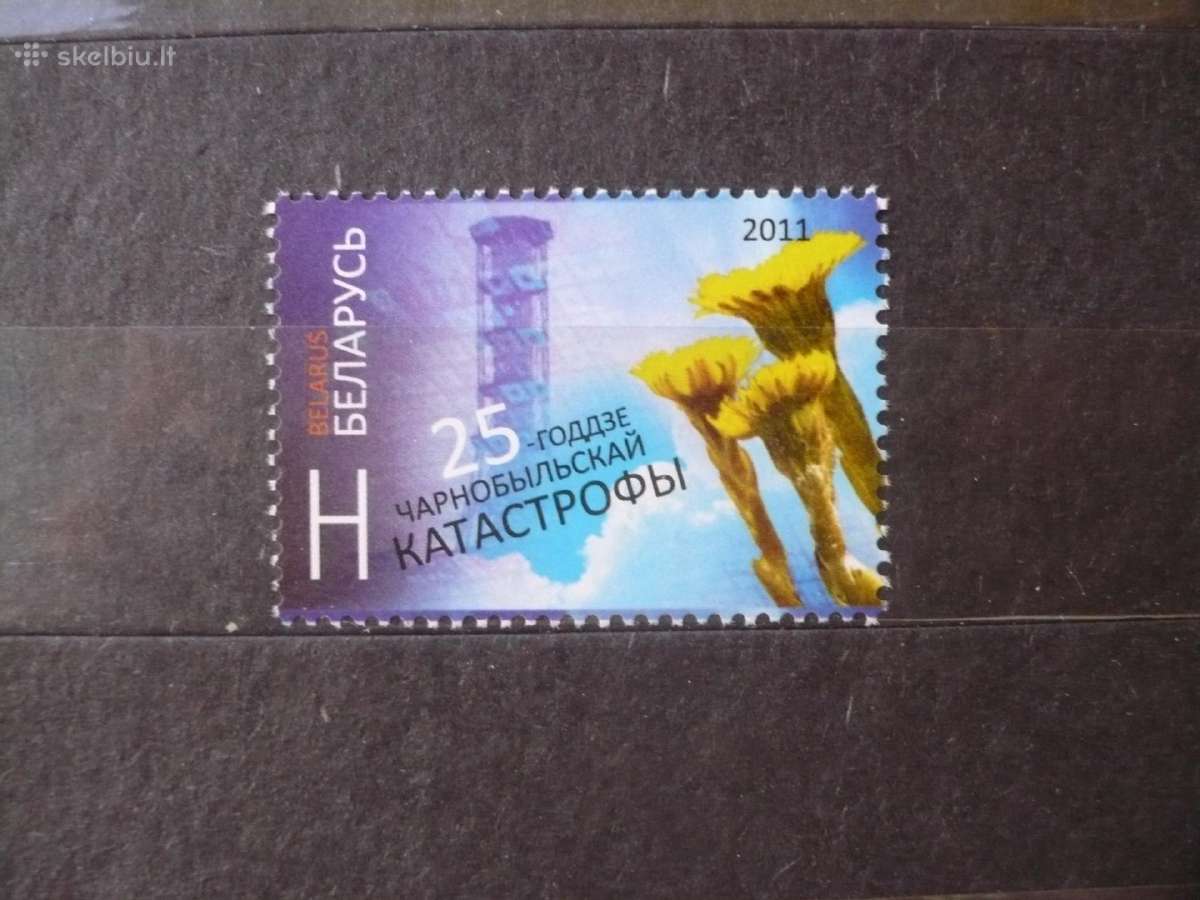 2011m. 25-osios Černobylio katastrofos metinės Mhn