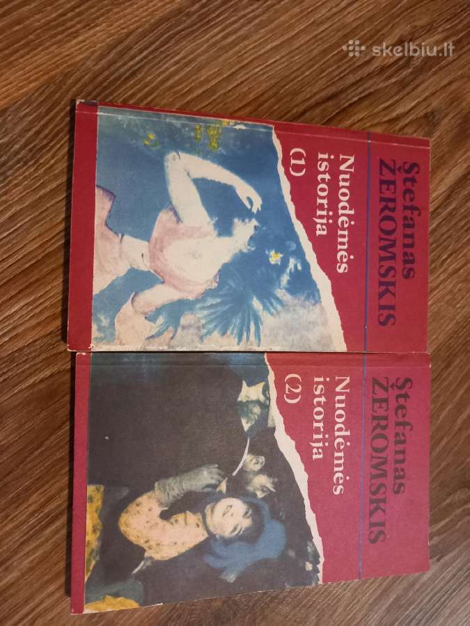 Knyga " Nuodėmės istorija "