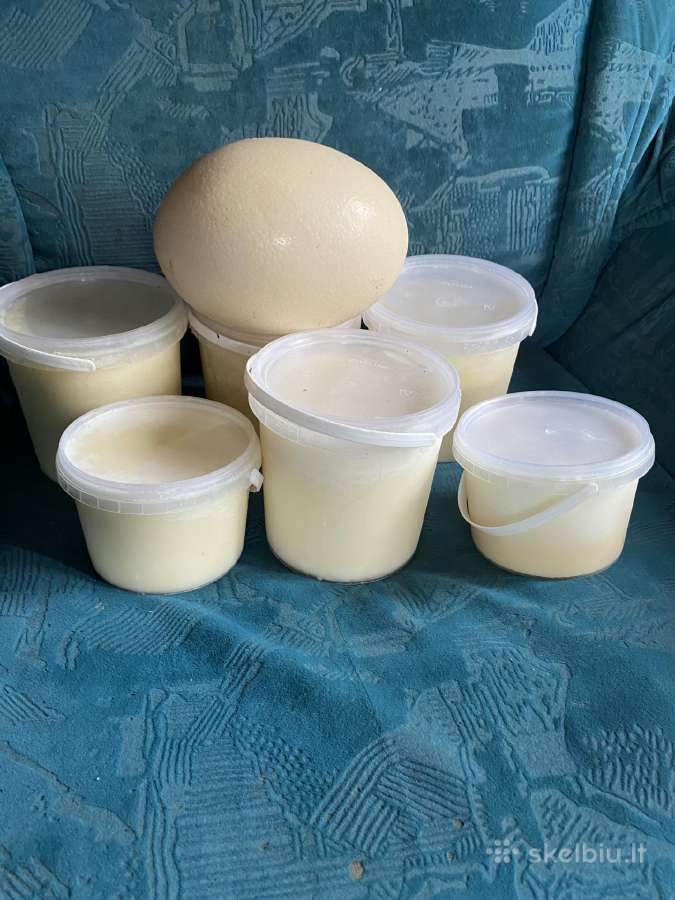 Afrikos stručiai , ju kiaušiniai ,taukai,plunksnos - nuotraukos Nr. 13