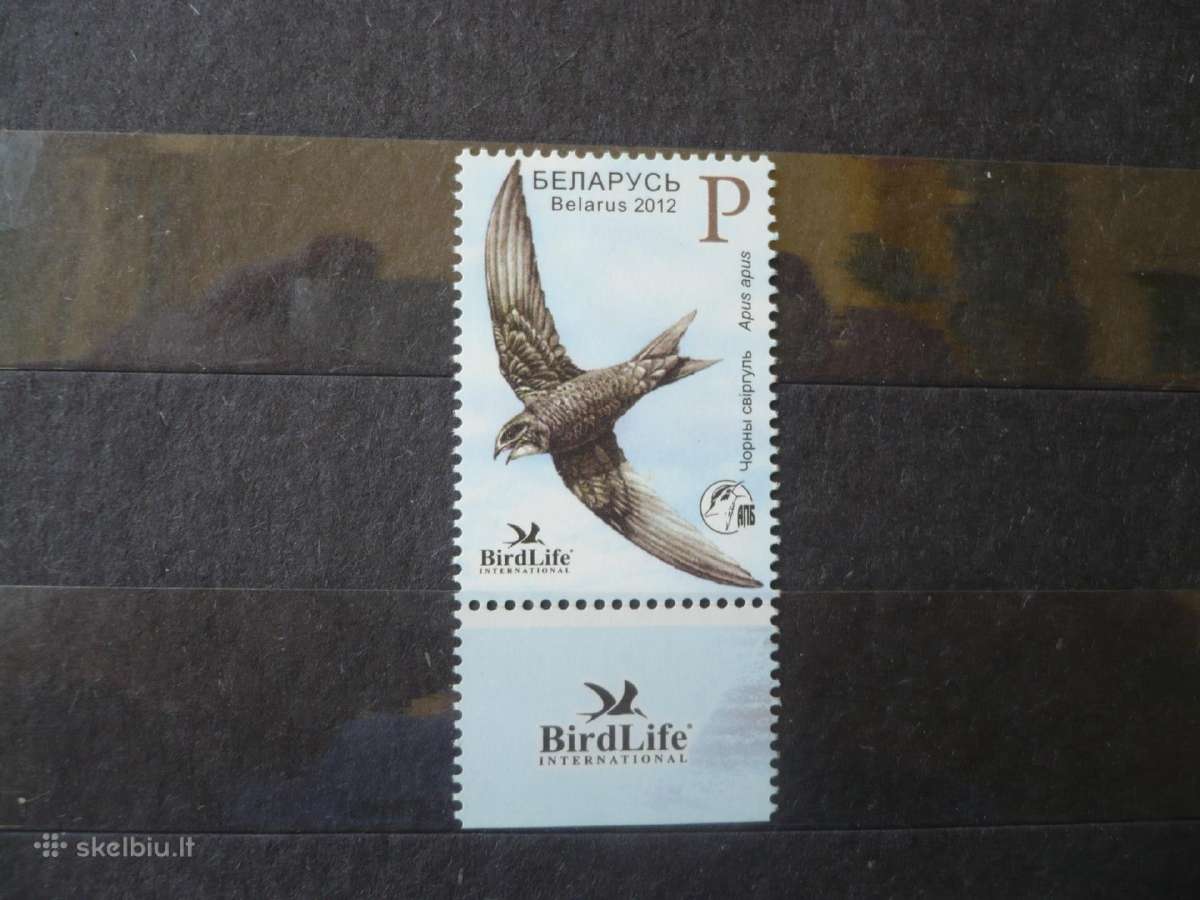 2012 metų paukštis – Juodoji Swift Mhn