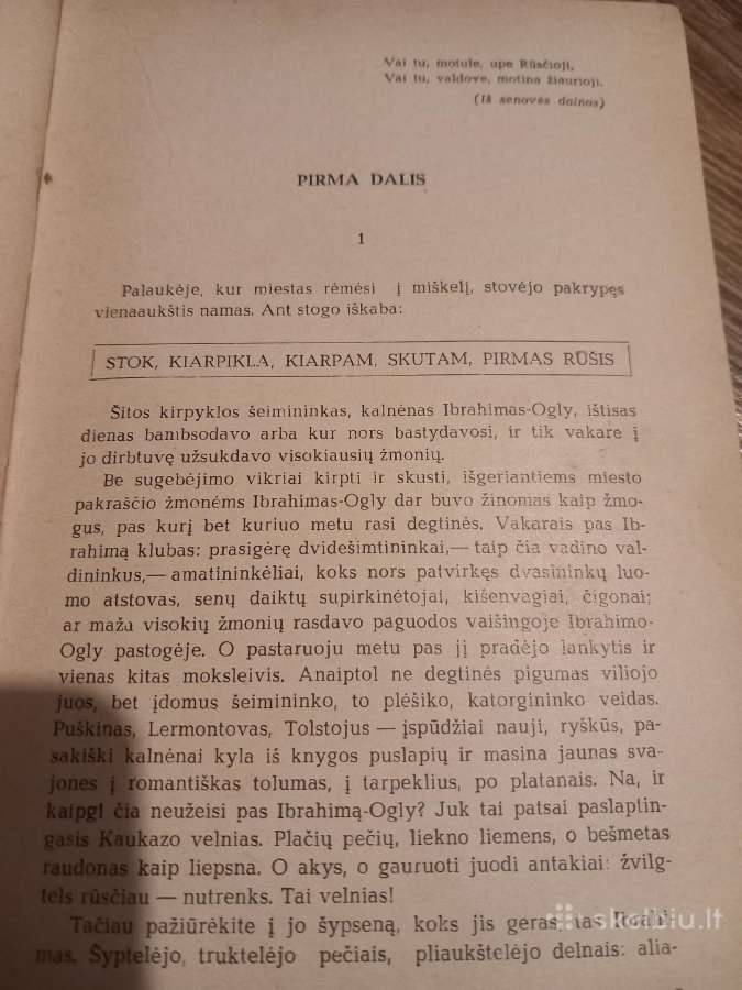 Romanas Ruščioji ūpė - nuotraukos Nr. 3