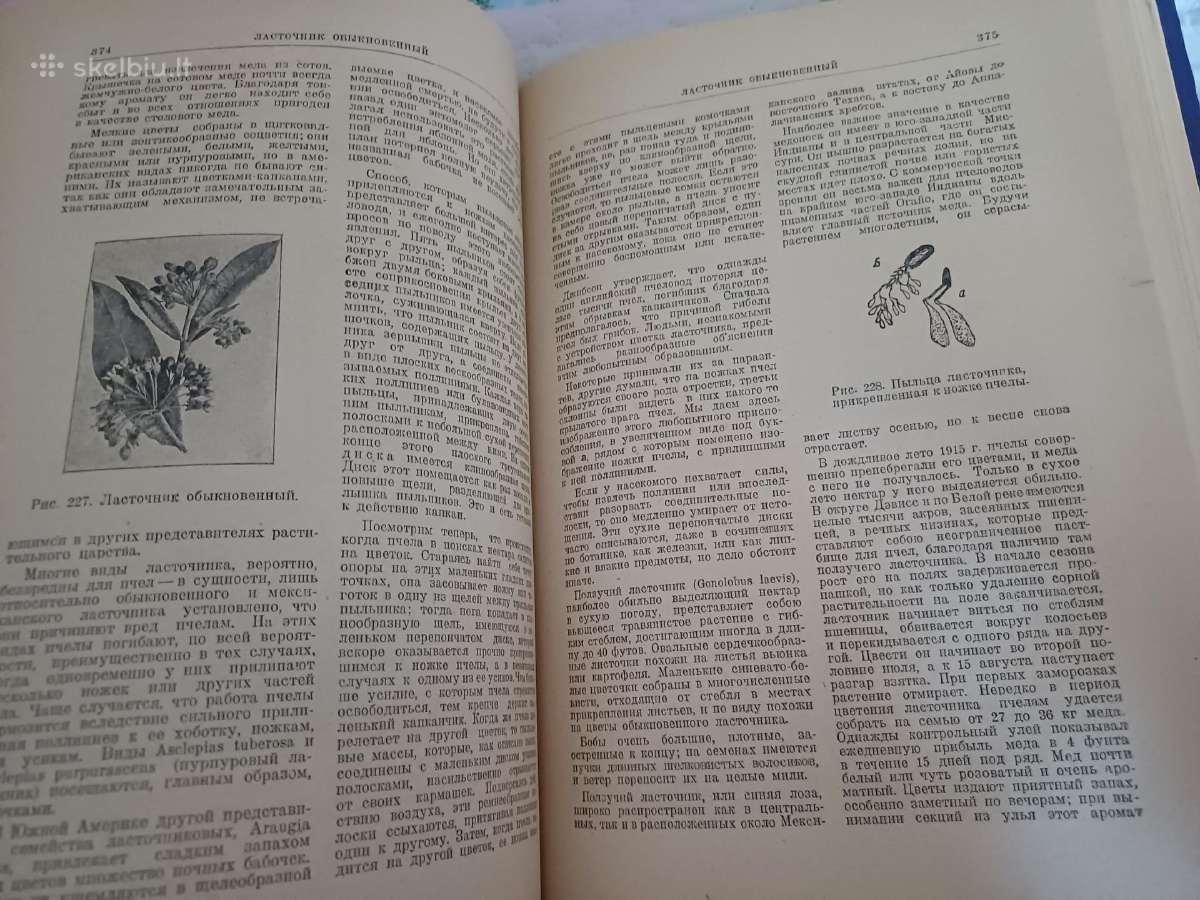 Parduodu knyga.энциклопедия пчеловодства1927 - nuotraukos Nr. 19