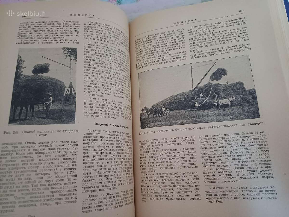 Parduodu knyga.энциклопедия пчеловодства1927 - nuotraukos Nr. 21